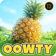 Oowty.com